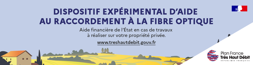 Aide de l'état pour la réalisation de travaux sur le domaine privé raccordement fibre optique