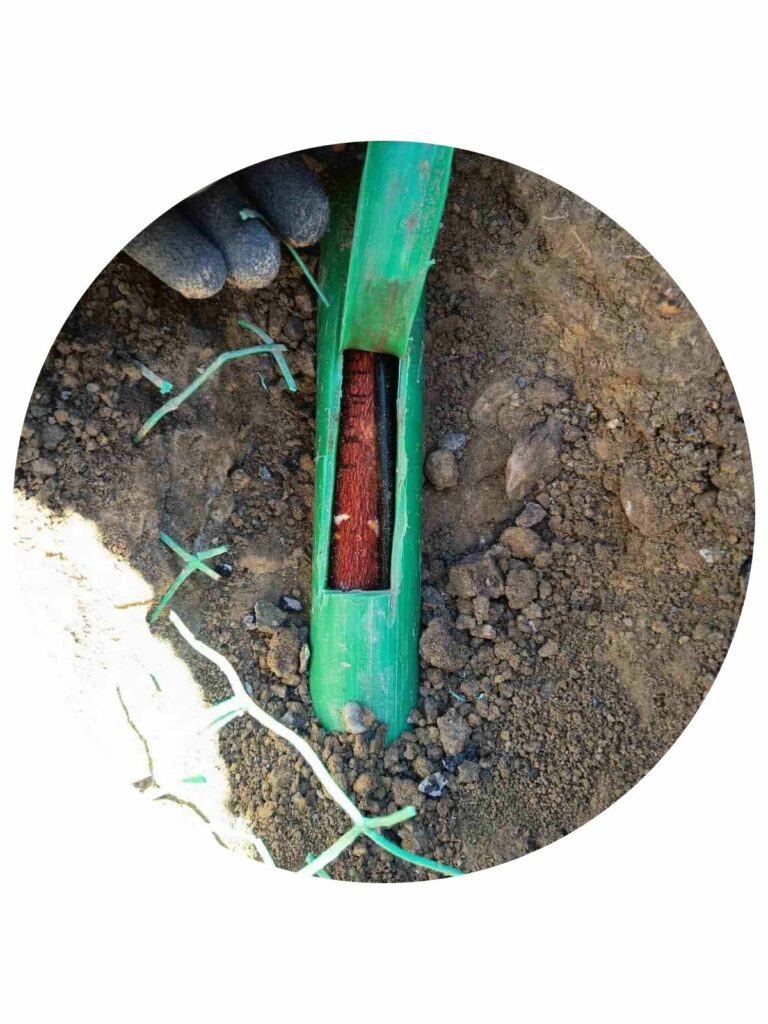 Vue rapprochée d'un fourreau télécom bouché par des racines d'arbres, nécessitant un débouchage.